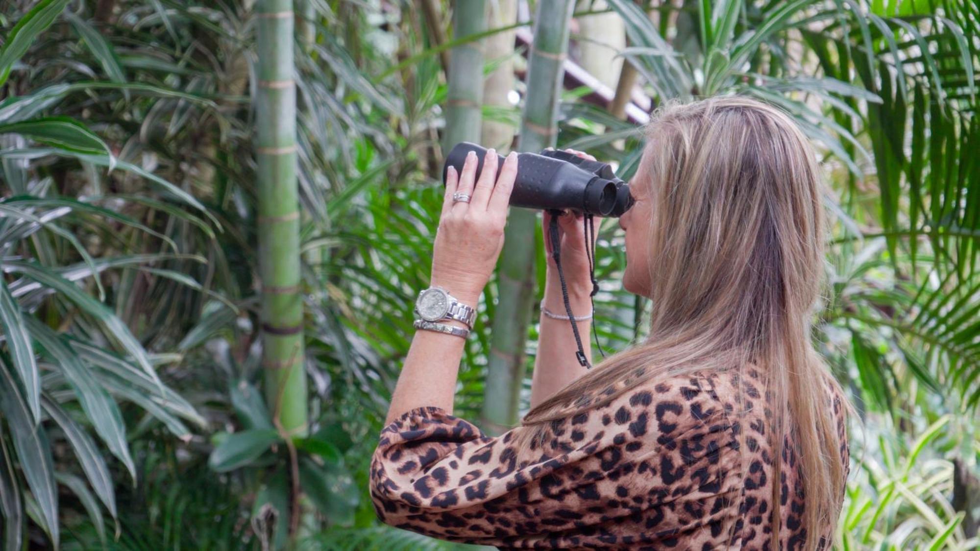 Luxury Tented Village @ Urban Glamping Saint Lucia Estuary Eksteriør bilde